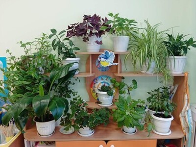 Центр экологии